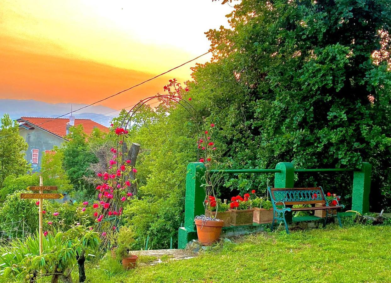 La Ginestra B&B Fosdinovo Extérieur photo